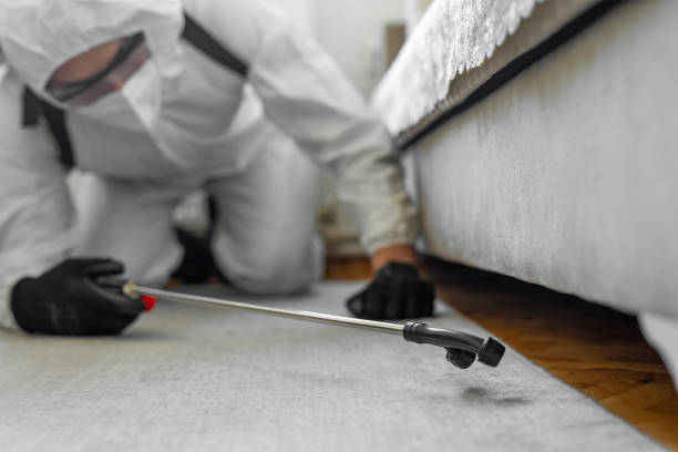 Professional Termite Control technician working in Bonner Springs, KS