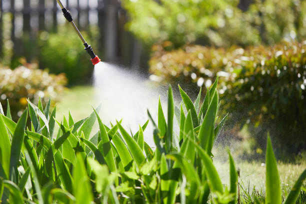 24/7 Emergency Termite Control experts in Bonner Springs, KS