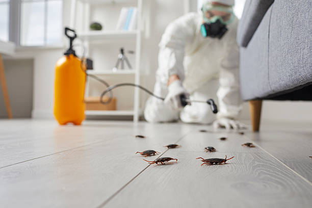 Trusted Termite Control service in Bonner Springs, KS - Nex Pest Control