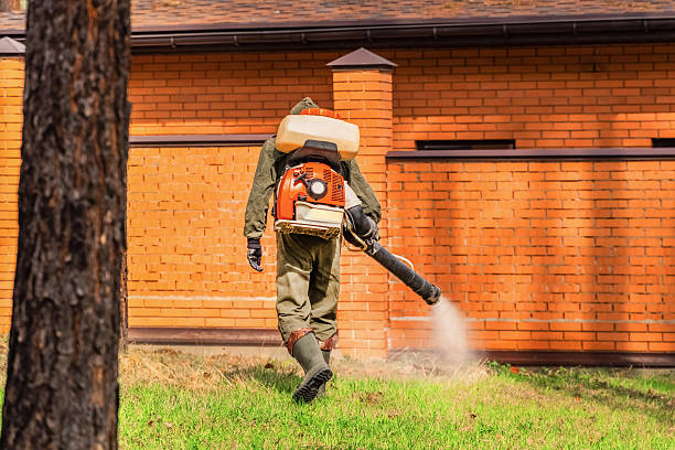 Trusted Mosquito Control service in Bonner Springs, KS - Nex Pest Control